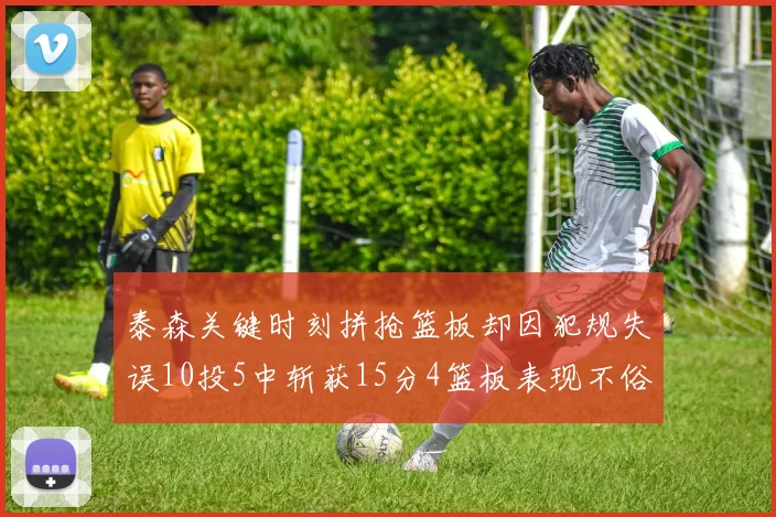 泰森关键时刻拼抢篮板却因犯规失误10投5中斩获15分4篮板表现不俗